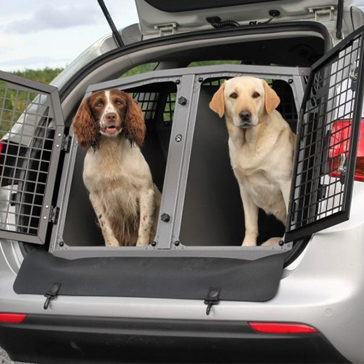 Evcil Hayvanla Korsan Taksi